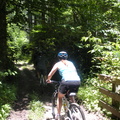 Action shot